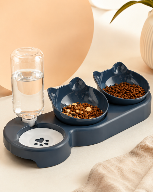 Food Bowl 1
