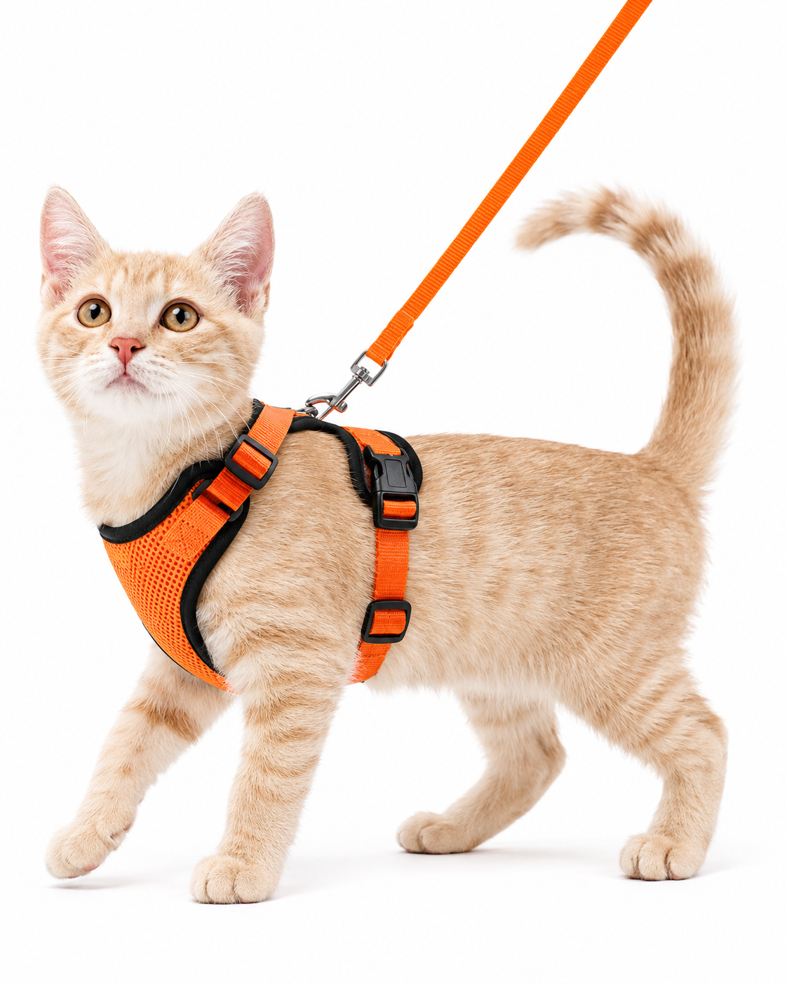 Escape-Proof Cat Harness and Leash Set