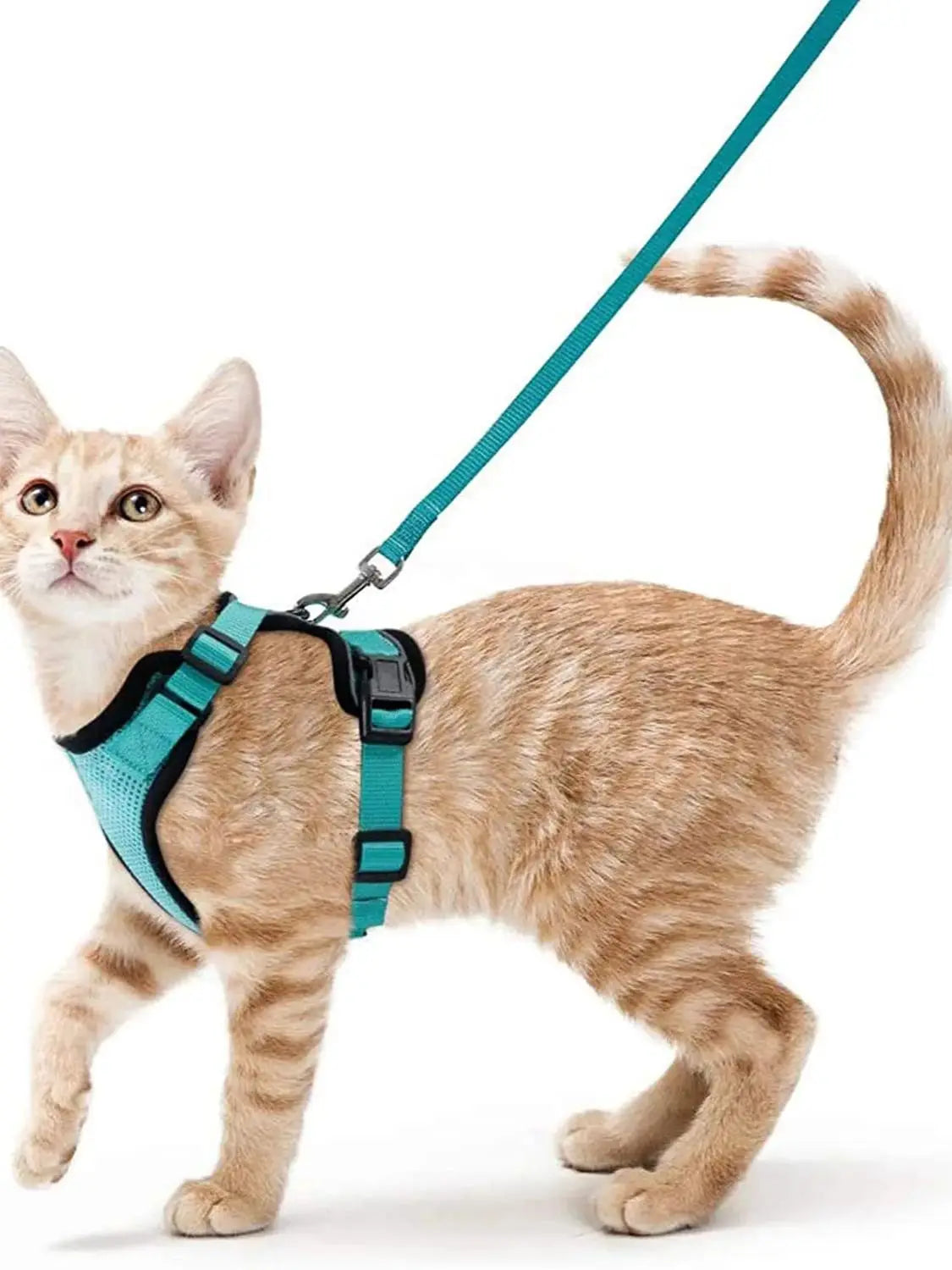 Escape-Proof Cat Harness and Leash Set