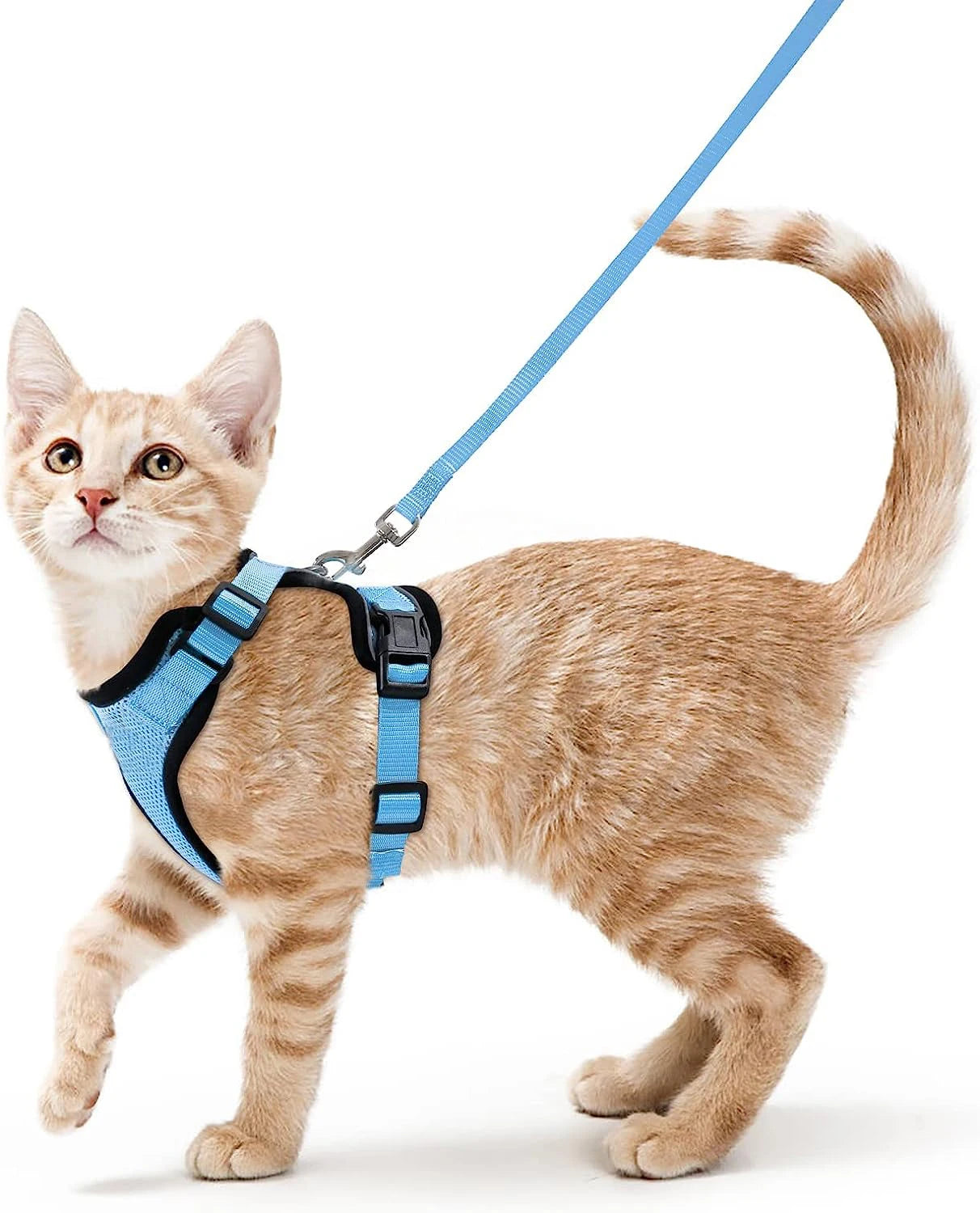 Escape-Proof Cat Harness and Leash Set