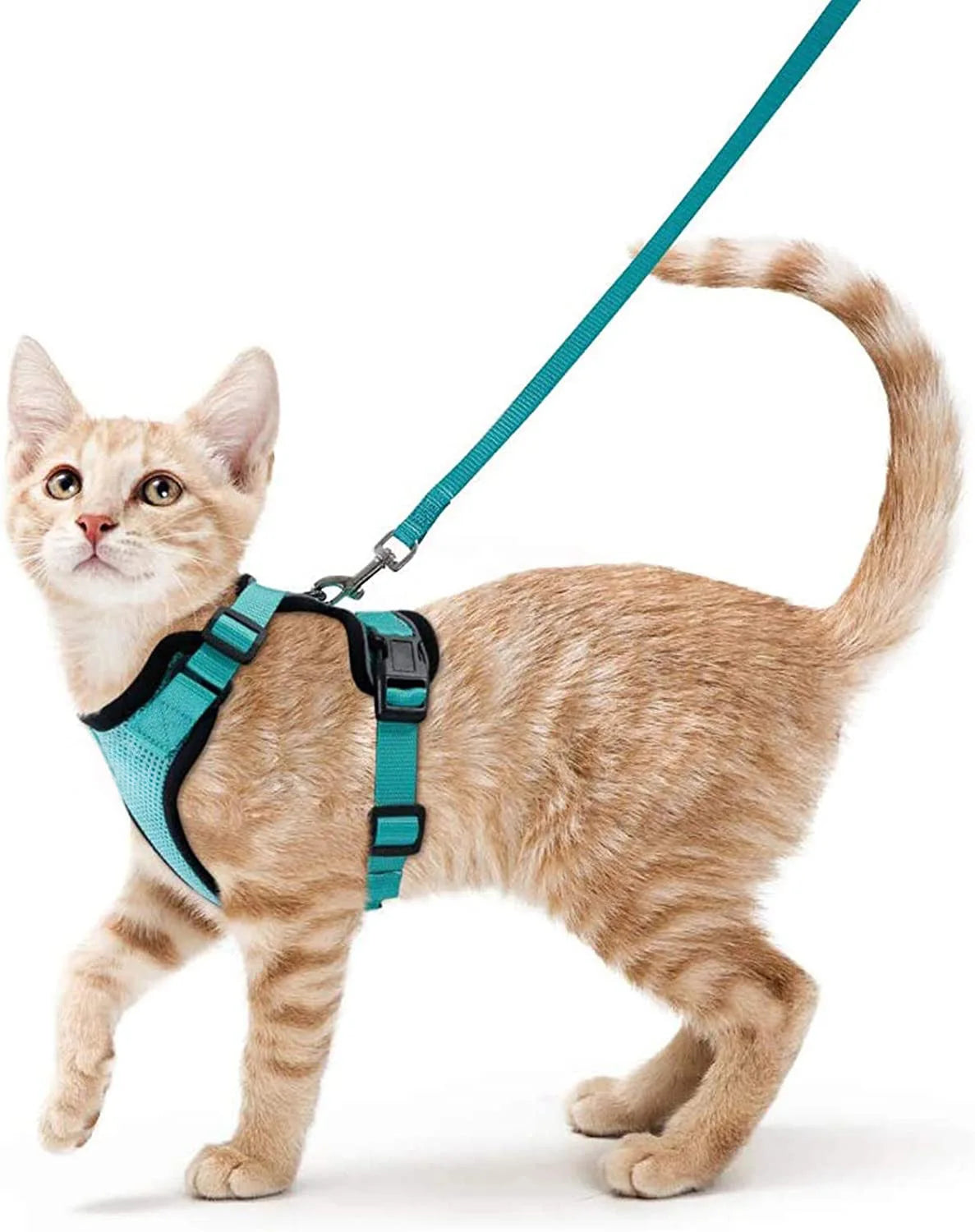 Escape-Proof Cat Harness and Leash Set