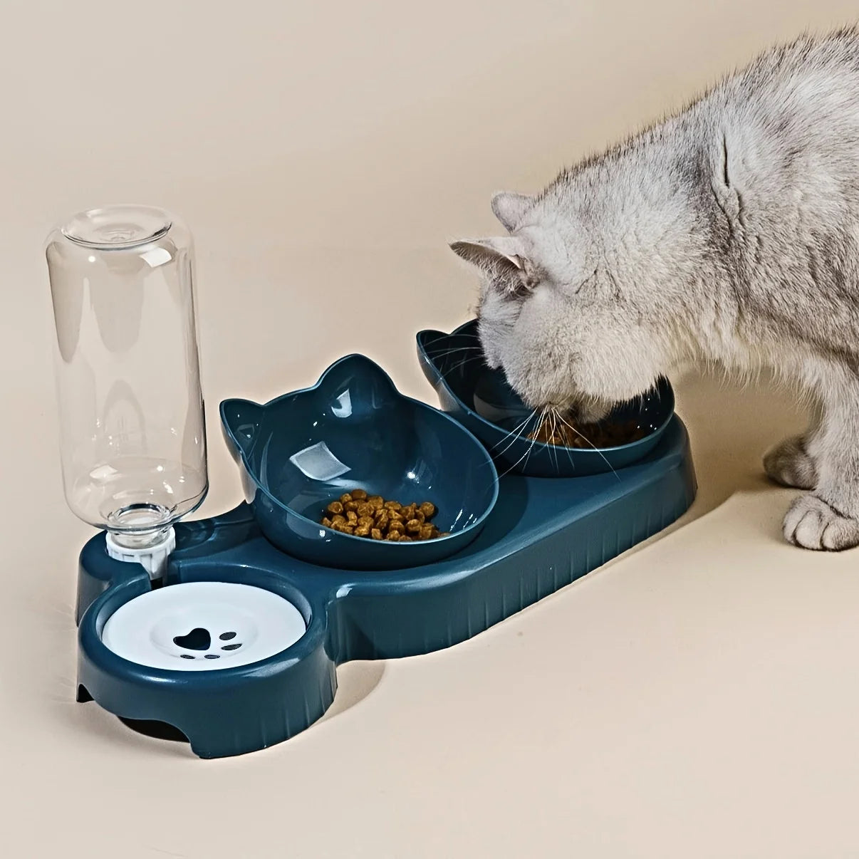 3-in-1 Cat Food Bowl with Water Feeder