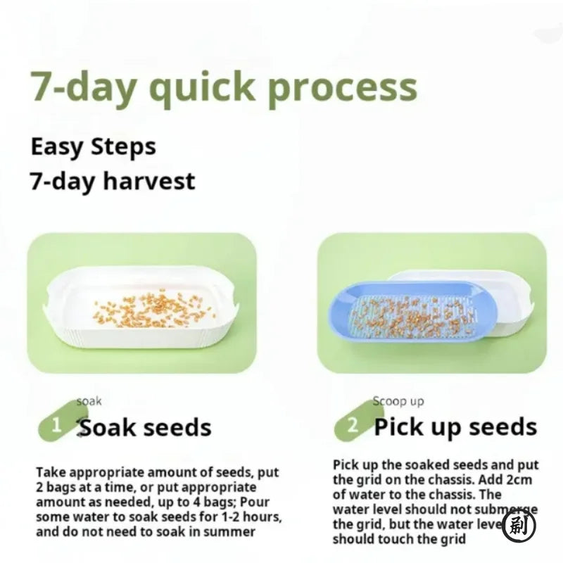Indoor Cat Grass Growing Kit