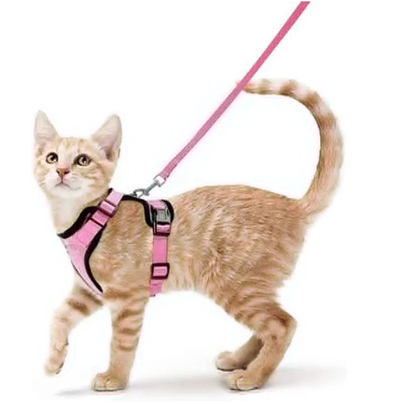 Escape-Proof Cat Harness and Leash Set