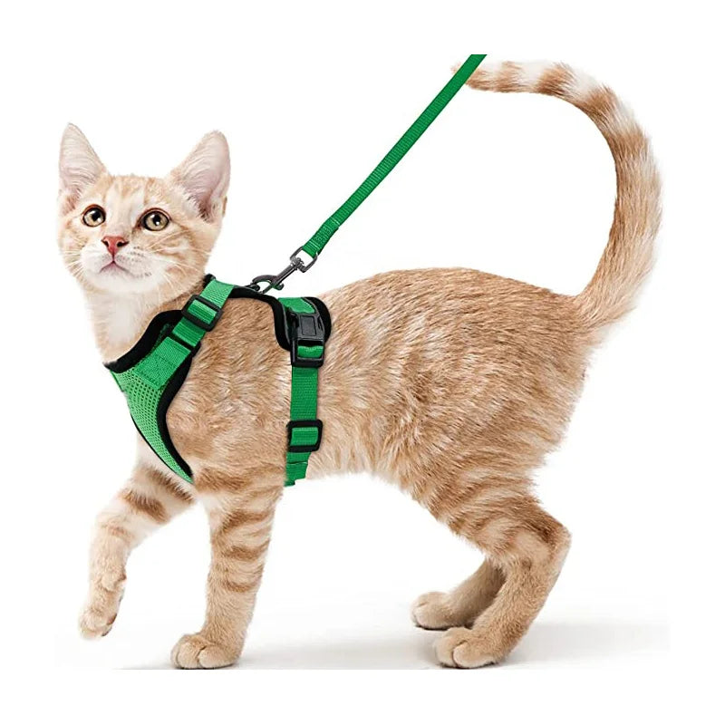 Escape-Proof Cat Harness and Leash Set