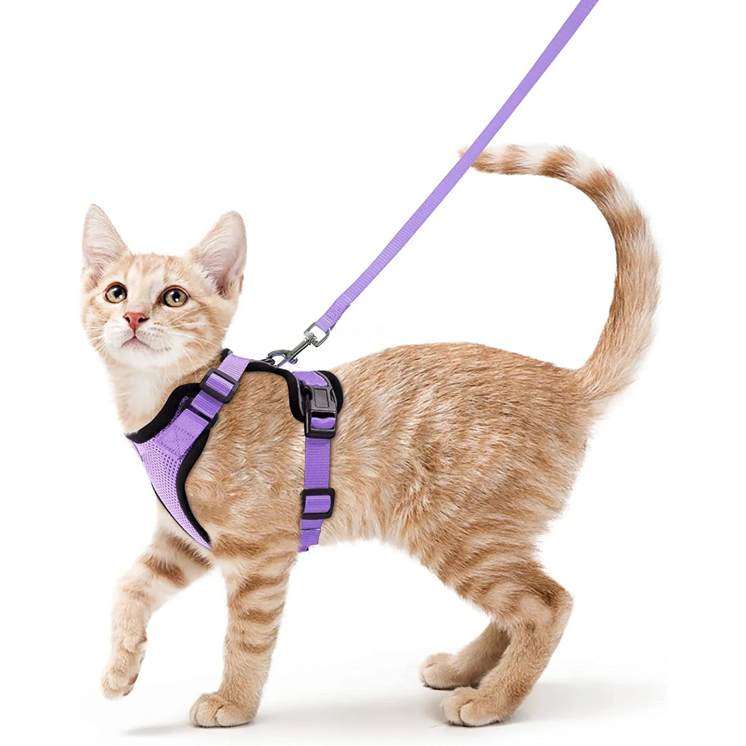 Escape-Proof Cat Harness and Leash Set