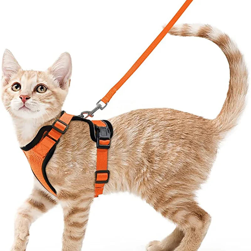 Escape-Proof Cat Harness and Leash Set