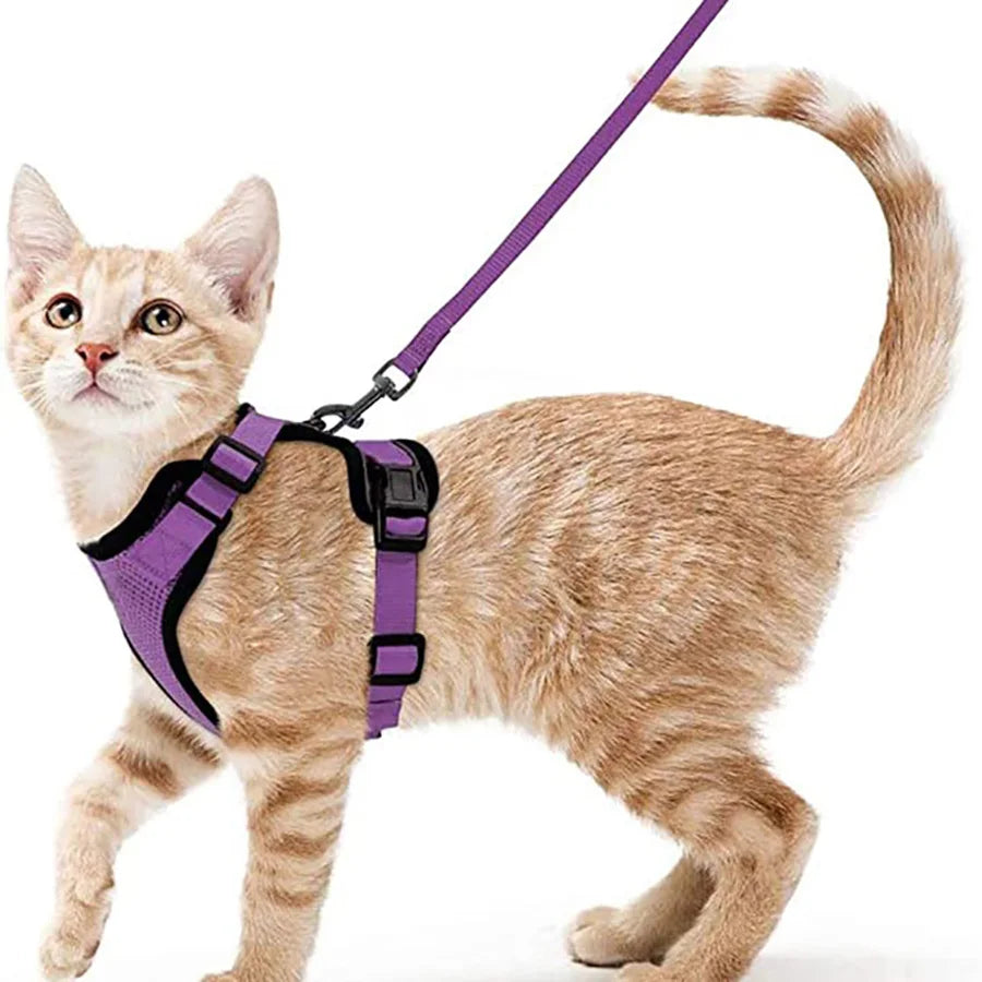 Escape-Proof Cat Harness and Leash Set