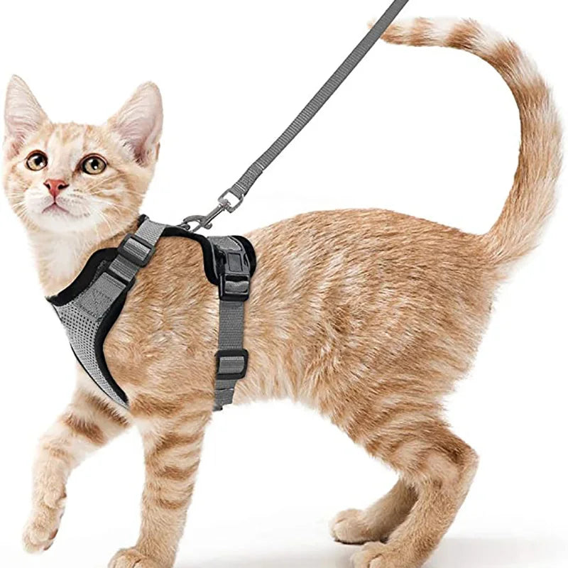 Escape-Proof Cat Harness and Leash Set