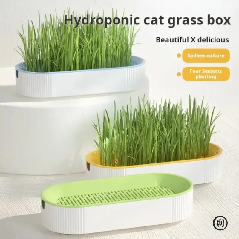 Indoor Cat Grass Growing Kit