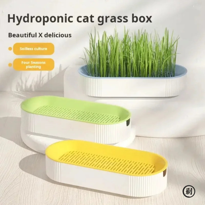 Indoor Cat Grass Growing Kit