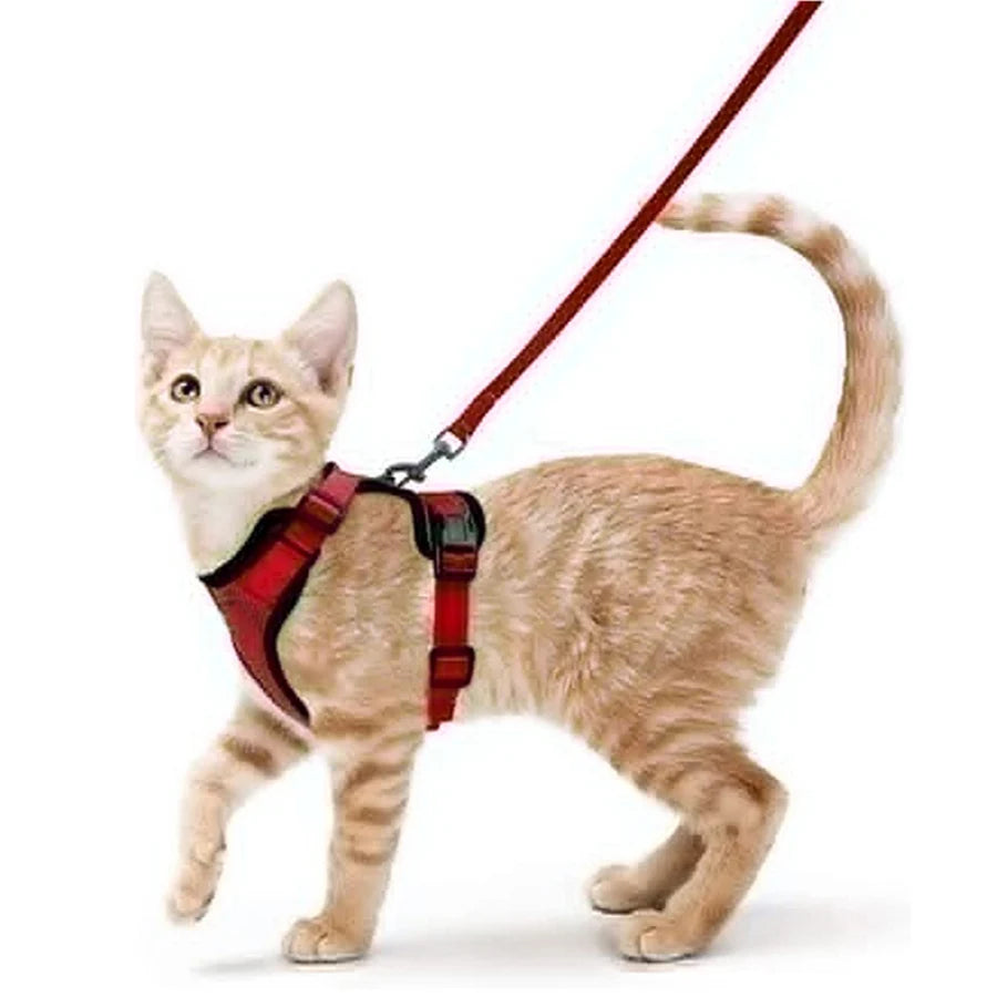 Escape-Proof Cat Harness and Leash Set