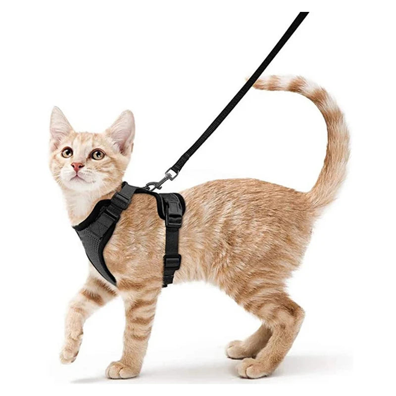 Escape-Proof Cat Harness and Leash Set