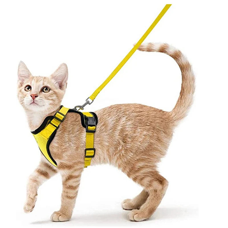 Escape-Proof Cat Harness and Leash Set